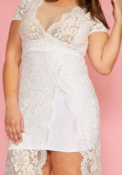 Plus Size Elegant Lace Dress -Asoph Fashion Shop 2005447 002 4