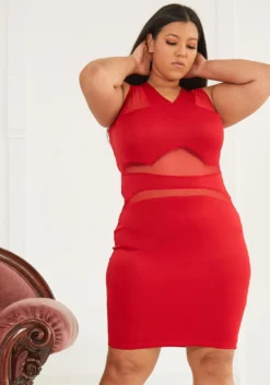 Plus Size Sheer Sleeveless Party Dress