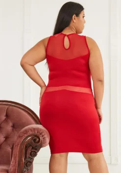 Plus Size Sheer Sleeveless Party Dress -Asoph Fashion Shop 2007813 110 4