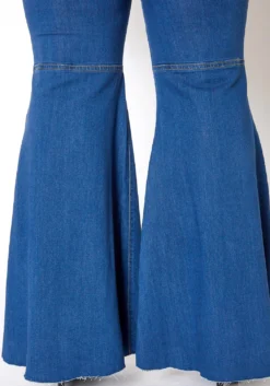 Vibrant Plus Size Retro Flare Raw Hem Denim Jean -Asoph Fashion Shop 2013663 938 3