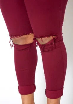 Vibrant Mid Rise Knee Distressed Plus Size Skinny Jean -Asoph Fashion Shop 2013673 111 3