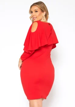 Plus Size Ruffle Overlay Long Sleeve Mini Dress -Asoph Fashion Shop 2018752 110 3