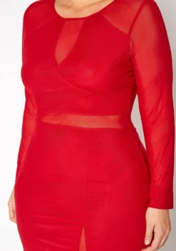 Plus Size Mesh Contrast Long Sleeve Mini Dress -Asoph Fashion Shop 2019619 110 4