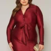 Plus Size Slinky Collar Neck Bodycon Mini Dress