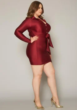 Plus Size Slinky Collar Neck Bodycon Mini Dress -Asoph Fashion Shop 2019850 001 2