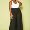 Plus Size Pleated Palazzo Pants