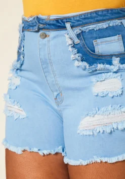 Plus Size High Rise Distressed Denim Shorts -Asoph Fashion Shop 2020676 001 4