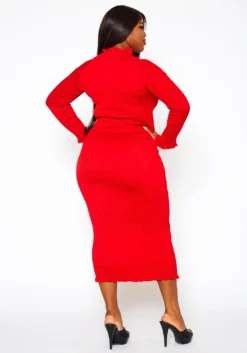 Plus Size Smocked High Neck Long Sleeve Maxi Dress -Asoph Fashion Shop 2021285 002 3