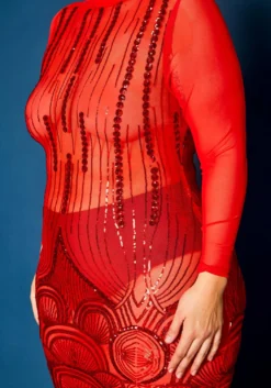 Plus Size Sequin Hem Mesh Bodycon Dress -Asoph Fashion Shop 2021337 001 5
