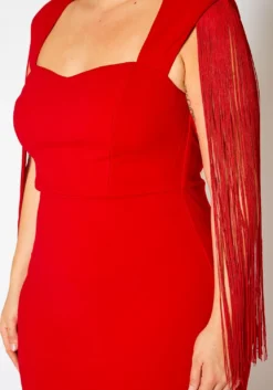 Plus Size Fringe Sleeve Midi Dress -Asoph Fashion Shop 2021346 002 5