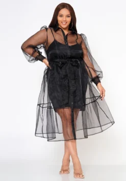 Plus Size Top Trend Sheer Button Front Fit & Flare Dress