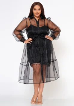 Plus Size Top Trend Sheer Button Front Fit & Flare Dress -Asoph Fashion Shop 2022579 001 2