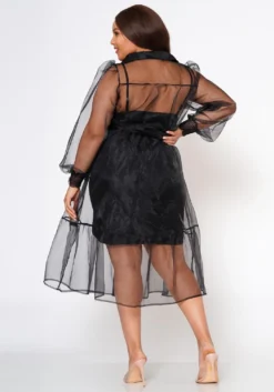 Plus Size Top Trend Sheer Button Front Fit & Flare Dress -Asoph Fashion Shop 2022579 001 4