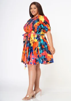 Plus Size Multi Pattern Pleated Fit & Flare Dress -Asoph Fashion Shop 2022608 001 3